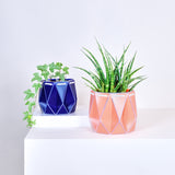 15cm Self-watering POTR Pot | Coral