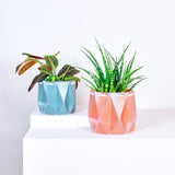 15cm Self-watering POTR Pot | Coral