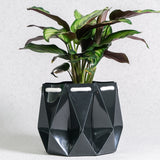 15cm Self-watering Ocean Pot | Midnight Green