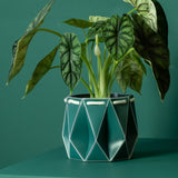 POTR Family | Self-watering Origami Planters