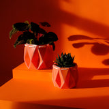 15cm POTR | 18cm POTR - Self-watering Planters