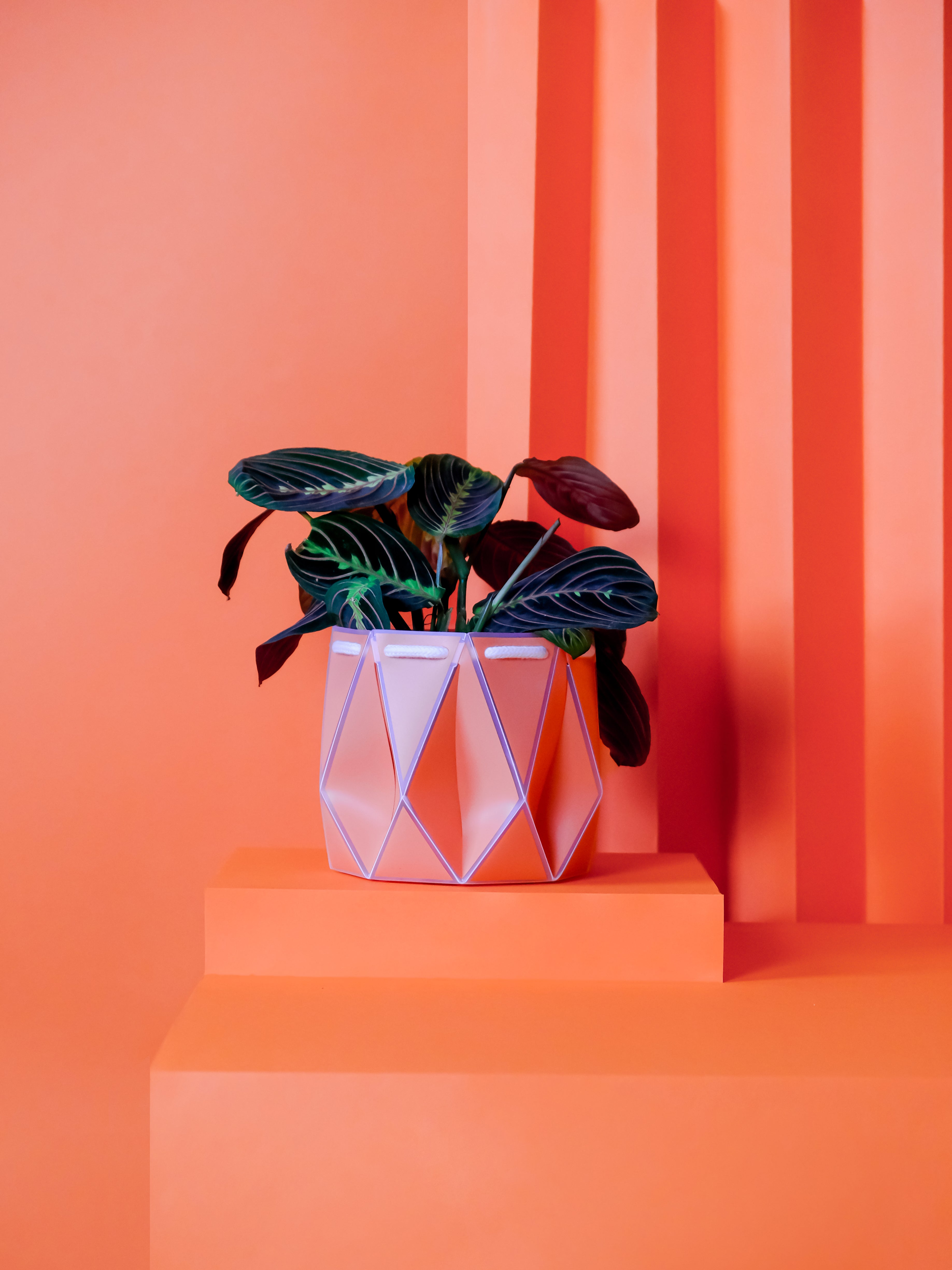 15cm Self-watering POTR Pot