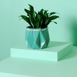11cm Self-watering POTR Pot | Aqua