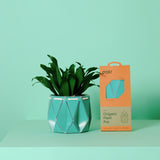 11cm Self-watering POTR Pot